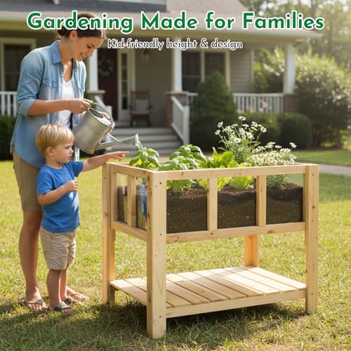 Raised Garden Bed with Transparent Acrylic Side Panels (28" x 15"x 24")