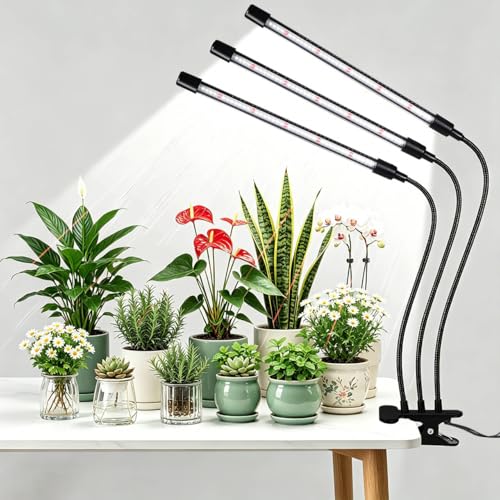 Black Grow Lights for Indoor Plants