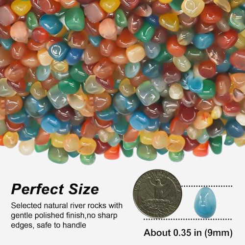 Smooth Decorative River Pebbles for Aquarium & Garden Landscaping (16 Ounce)