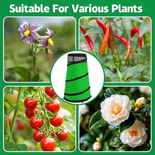 2Pcs Pop Up Rose Cones for Winter Protection (Green-2Pcs)
