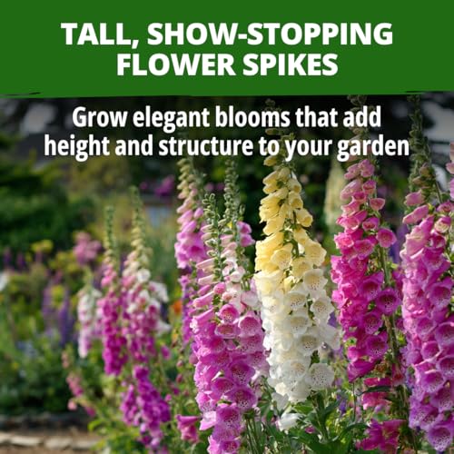Foxglove Mix 148