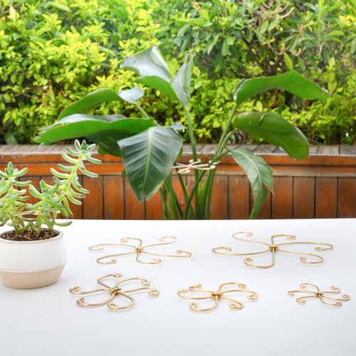 5PCS 7.5in Monstera Plant Stem Support (Gold / 7.5IN*7.5IN)