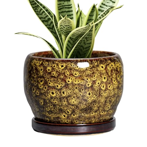 6 Inch Plant Pot