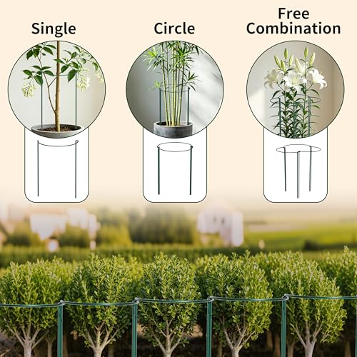 6 Pack Garden Plant Support Cages (14"Dx32"H-6PCS)