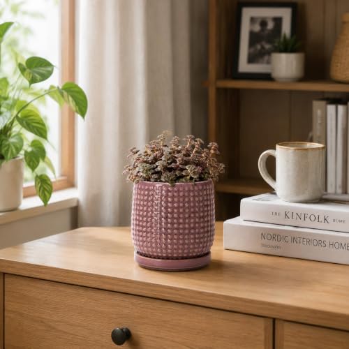 Beaded Ceramic Pot with Saucer (4.3 Inch / Blush Mauve)