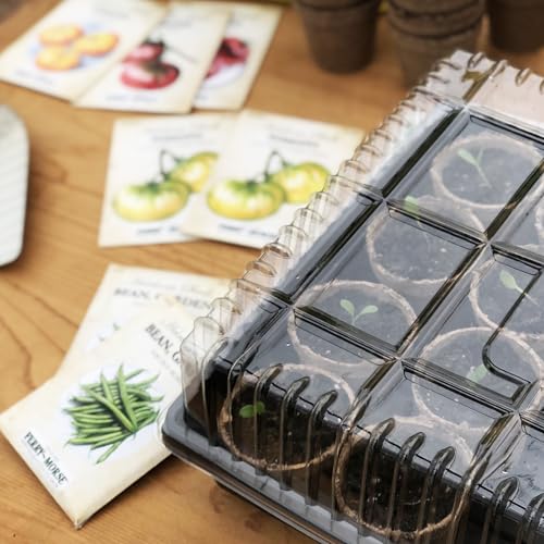 Plant Germination Tray (10 Count)