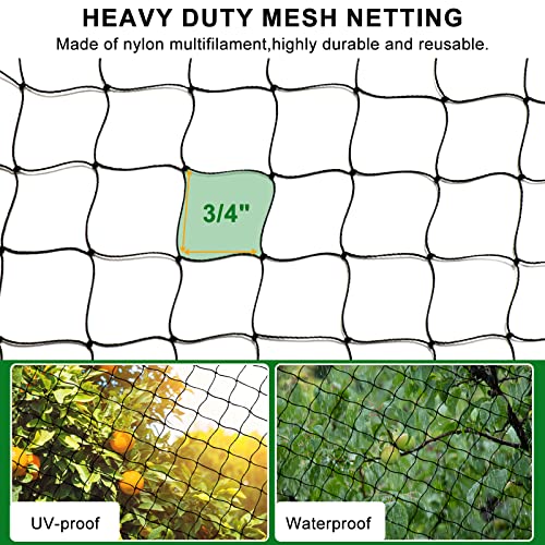 Bird Netting 25'x100' with 3