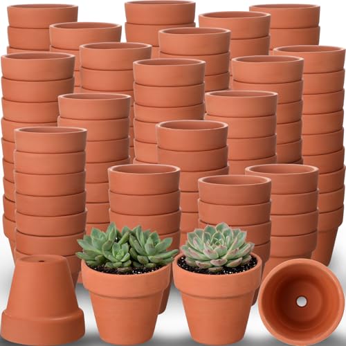 200 Pcs Mini 2" Terracotta Pot Bulk Small Plant Pots