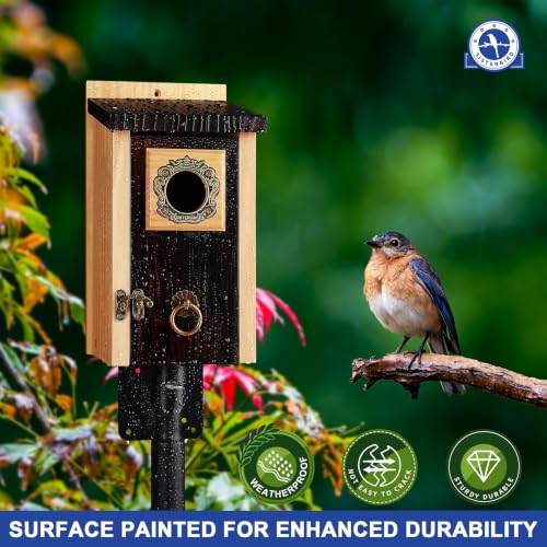 2 Pack Bluebird Houses for Outside (Deeply Burnt Vintage Hue -- 2PK)