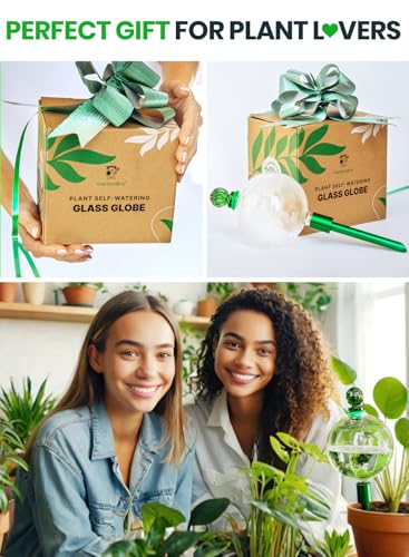 16 Oz Plant Watering Globes (Clear (1-Pack))