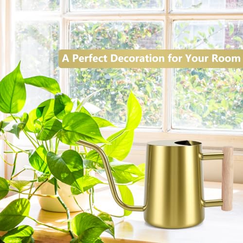 Watering Can Indoor Plants (Gold)