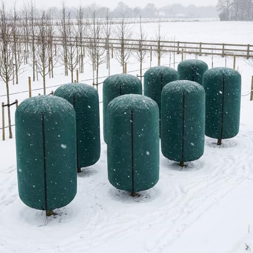 Rounded Top Plant Covers Freeze Protection (M Size-B Style)