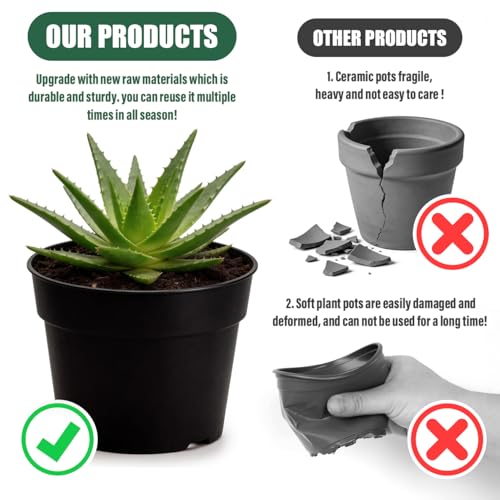 50 Pack 6 Inch Nursery Pots (Black / 6 Inch 50 Pack)