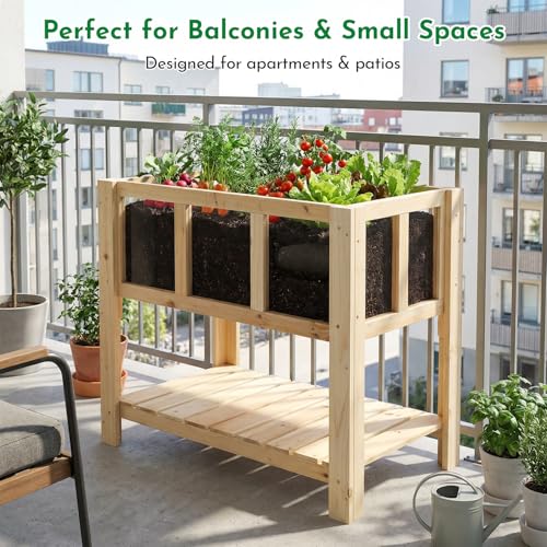 Raised Garden Bed with Transparent Acrylic Side Panels (28" x 15"x 24")