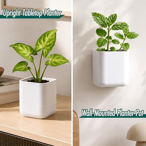 3.5 Inch Wall Mounted Self (3.5" (1 Pack) / White)