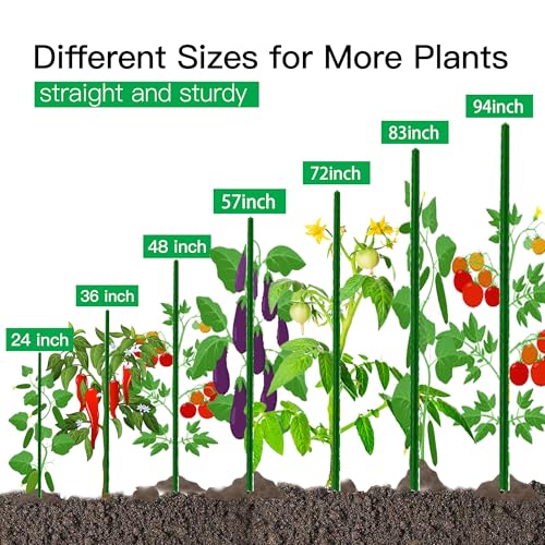 Garden Stakes 6ft (6ft, pack of 10)
