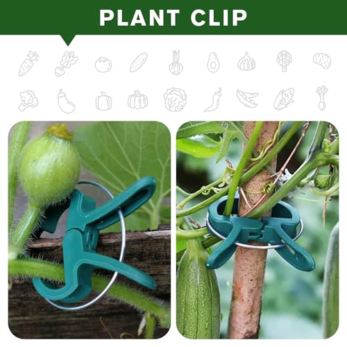 Plant Clips for Climbing Plants (green / 120 Big)