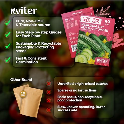 50 Beit Alpha Cucumber Heirloom Vegetable Seeds
