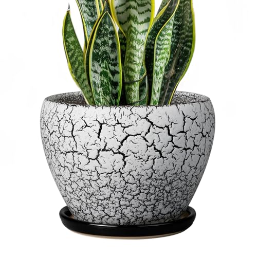 Ceramic Plant Pot 8 Inch