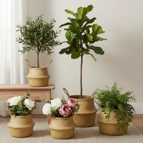 4 Pcs Woven Seagrass Baskets Belly Basket (XS,S,M,L)