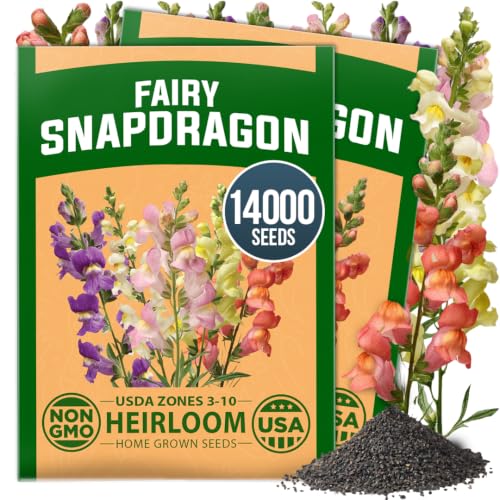 Fairy Snapdragon Seeds