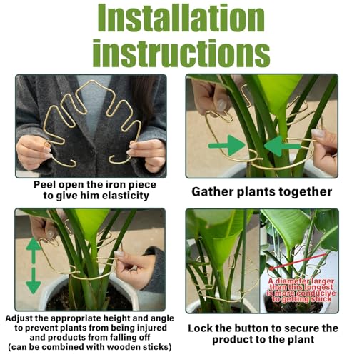 Monstera Stem Support