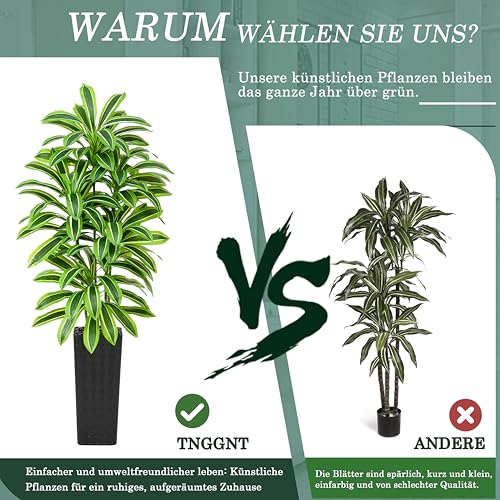 Artificial Dracaena Tree (Light Green – Black Pot / 7FT)