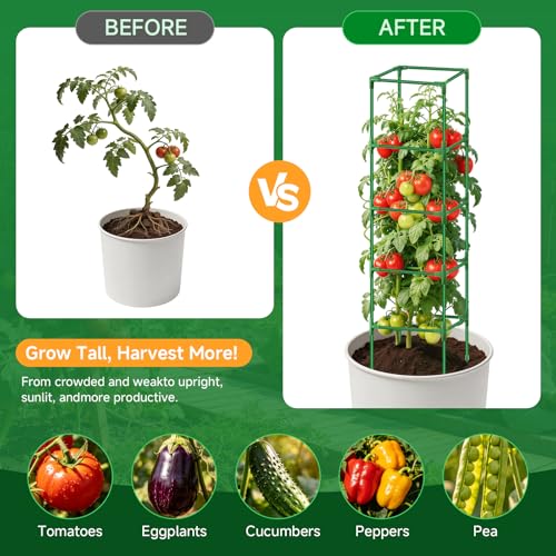 3 Pack Square Tomato Cage Heavy Duty Rust