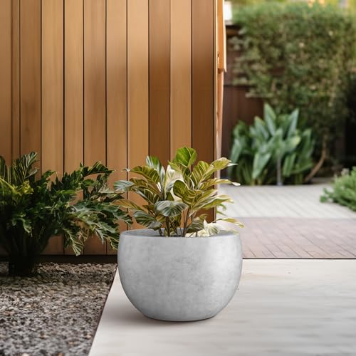 Small Round Bowl Pale Gray Concrete Planter 11.8" Dia (Natural Concrete / 11.8" d)