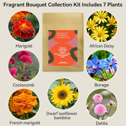 Fragrant Bouquet Flower 7 Pods Seed Pod Kit for Aero (7Pods / Flower)