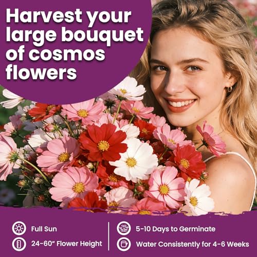 Mix Cosmos Seeds for 2026