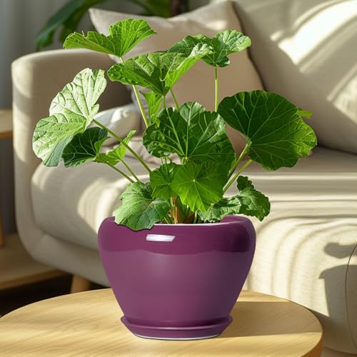 Ceramic Planter (8 Inch / Purple)