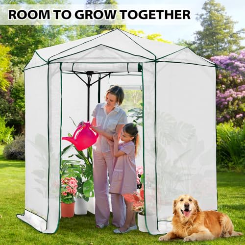 6.6x6.6 Easy Setup Pop Up Greenhouse (Clear/White / 6.6x6.6)