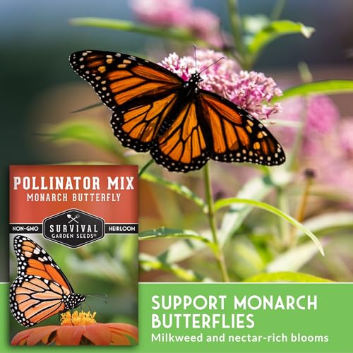 Butterfly and Bee Flower Seeds for Planting