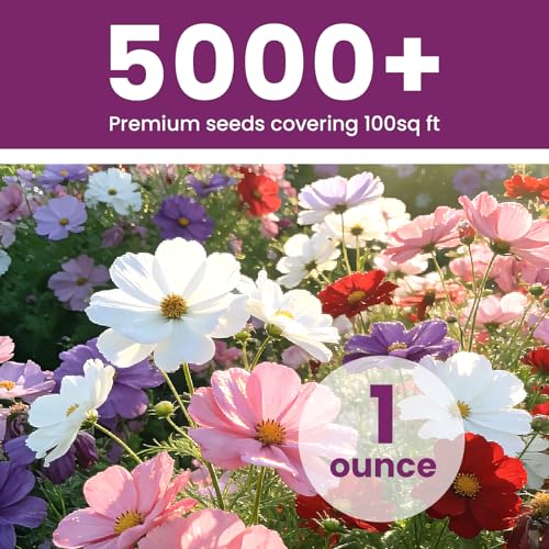 Mix Cosmos Seeds for 2026