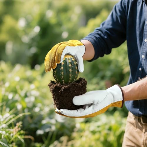 Leather Gardening & Work Gloves (Gold/Light Cyan(24 Pair) / Medium)