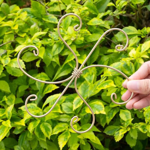 5PCS 7.5in Monstera Plant Stem Support (Gold / 7.5IN*7.5IN)