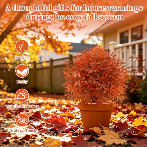 2 Pack Artificial Fall Cedar Topiary Trees with Spike (Fall Cedar)