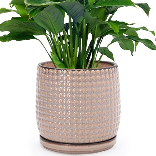 Beaded Ceramic Pot with Saucer (8.8 Inch / Light Brown)