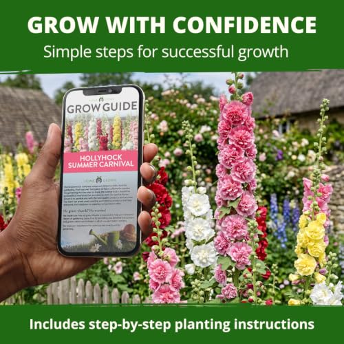 Summer Carnival Giant Hollyhock Seeds