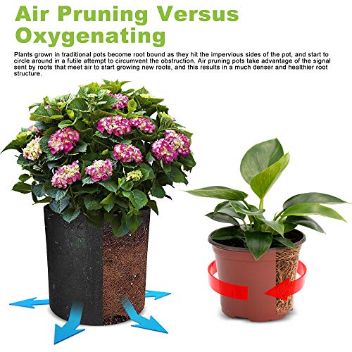 Tall Fabric Pots (5 Count)