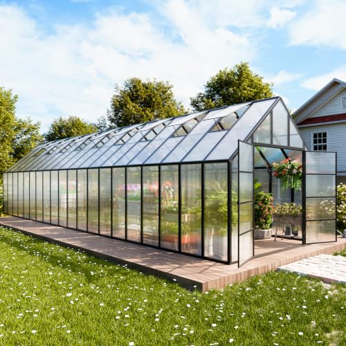 10x40 FT Greenhouse for Outdoors