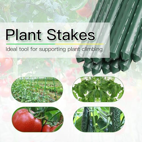 Garden Stakes 2ft (2ft, pack of 20)