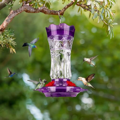 Glass Hummingbird Feeders for Outdoors