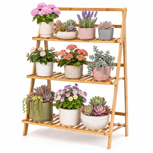 Bamboo Plant Stand