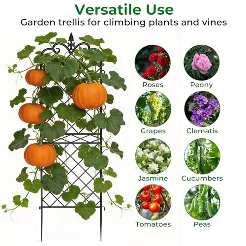Garden Trellis 2 Pack 71”x20” Heavy Duty Rustproof Wall Trellis for Climbing Plants Outdoor Metal Decoration Large Trellis for Potted Plants Support Trellis Roses Black
