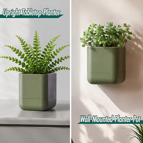 4.5 Inch Wall Mounted Self (4.5" (2 Pack) / Olive)