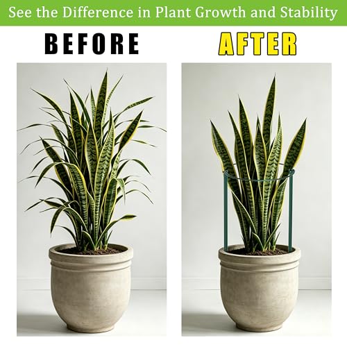 6 Pack Garden Plant Support Cages (14"Dx32"H-6PCS)