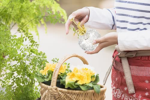 Glass Plant Mister Water Spray Bottle (Clear+Gold A)