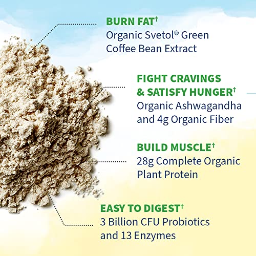 Raw Organic Fit Vegan Protein Powder (1.88 Pound (Pack of 1))